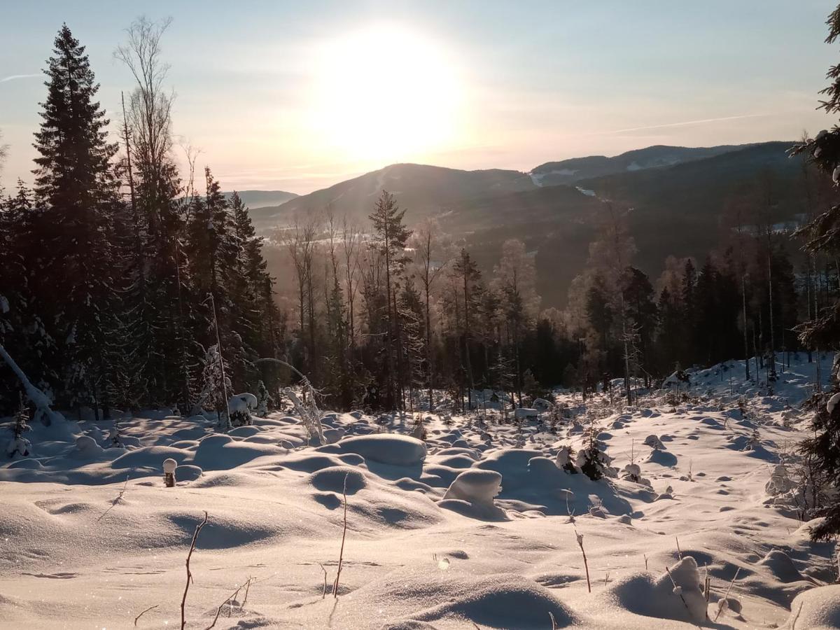Bed And Breakfast Hadeland Harestua Exterior foto